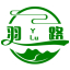 在线视频